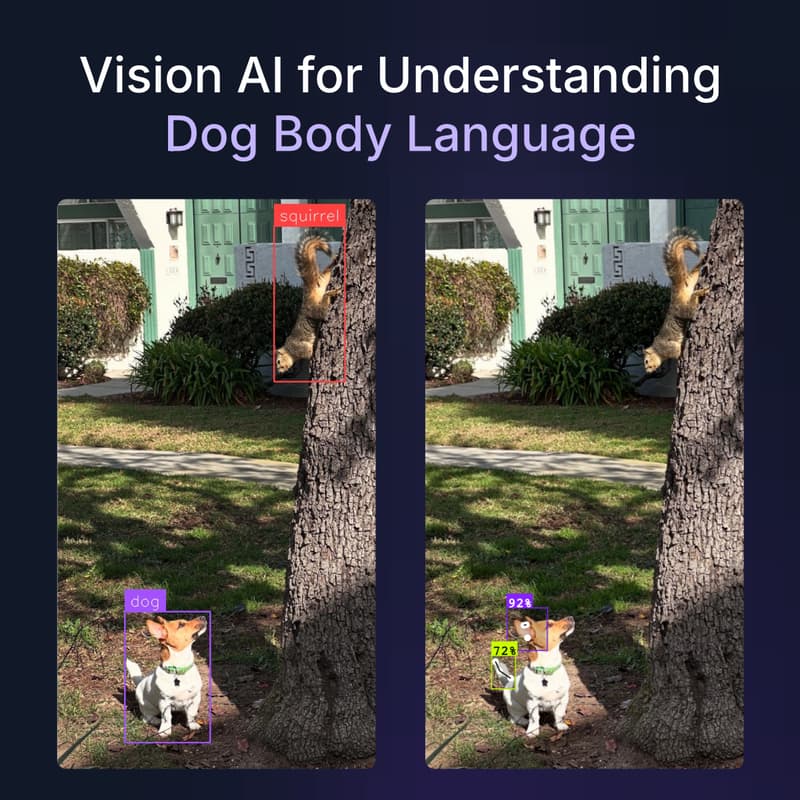 Cover Image for Vision AI for Understanding Dog Body Language