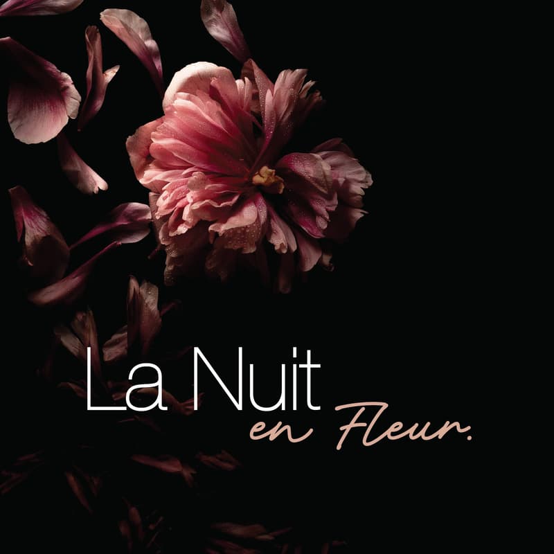 Cover Image for La Nuit en Fleur - Atelier