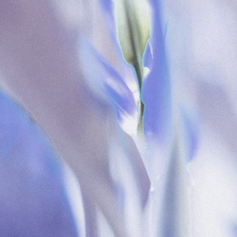 Cover Image for Mini Rituals for Mums