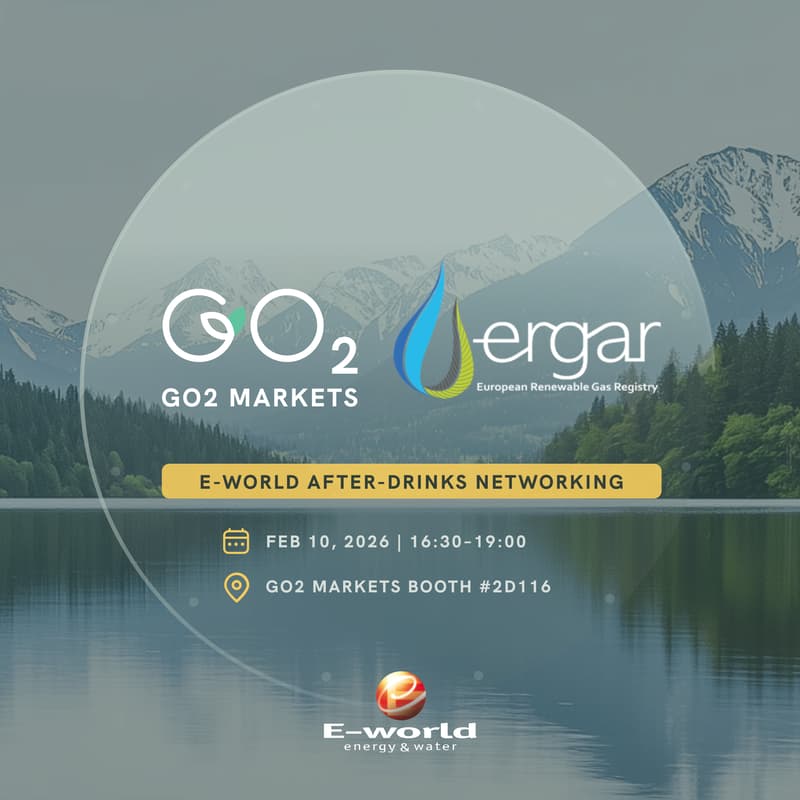 Cover Image for GO2 Markets x ERGaR | E-World After-Drinks Networking