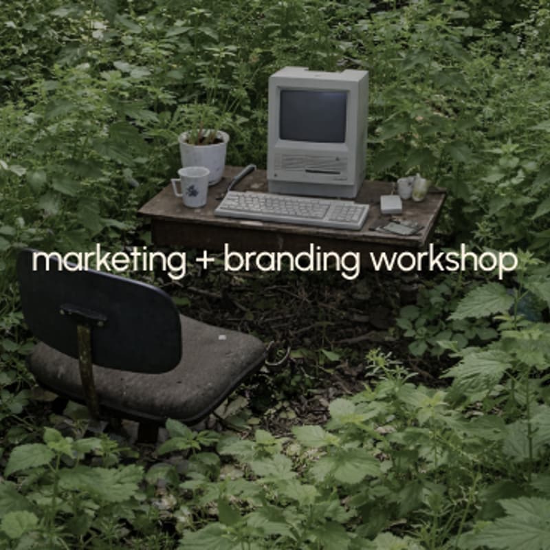 Cover Image for marketing + branding workshop