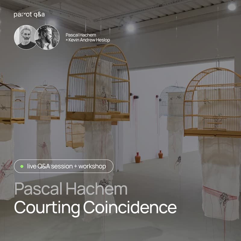 Cover Image for Parrot Q&A #8: Courting Coincidence | with Pascal Hachem