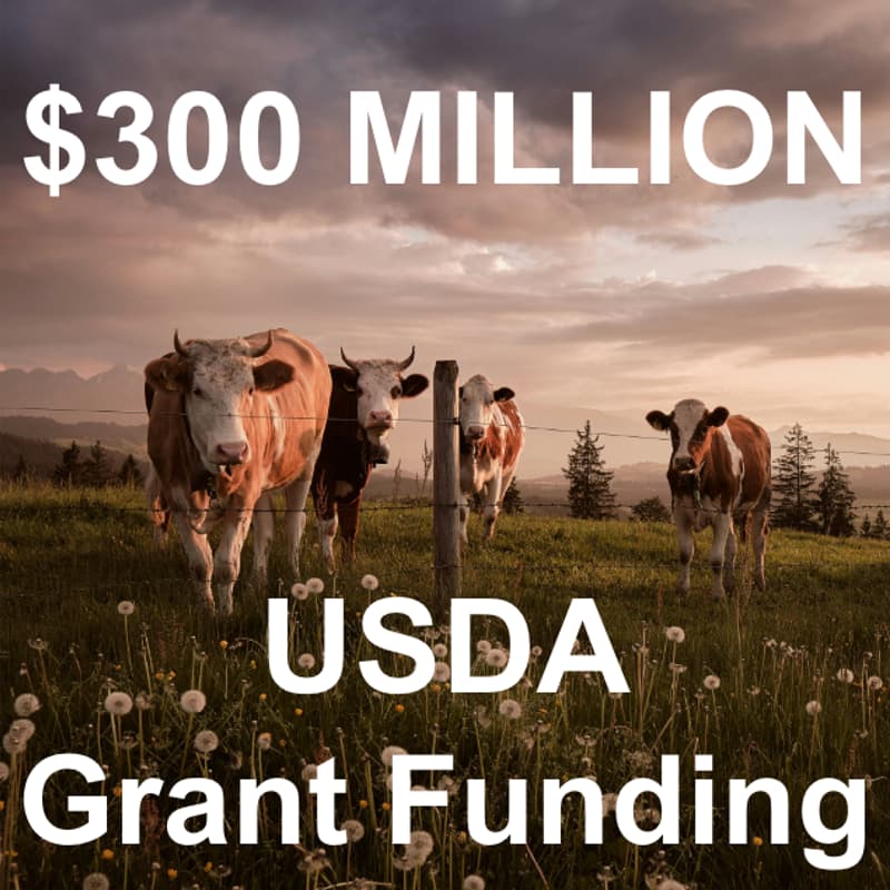 Cover Image for CFS Webinar: $300 MILLION in USDA Grants for Food and Ag R&D