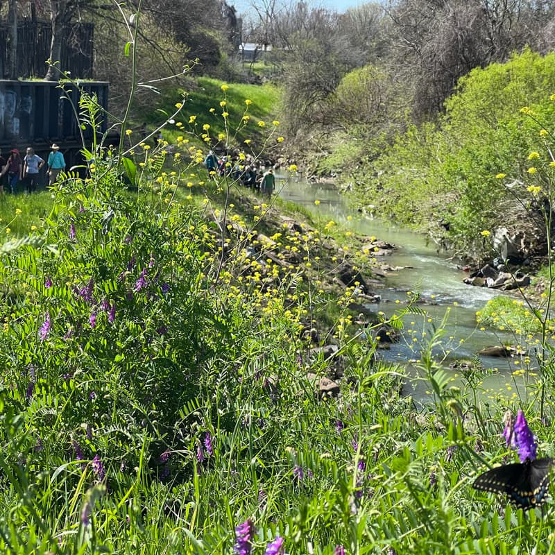 Cover Image for Hollywood Bayou Trail Public Kickoff