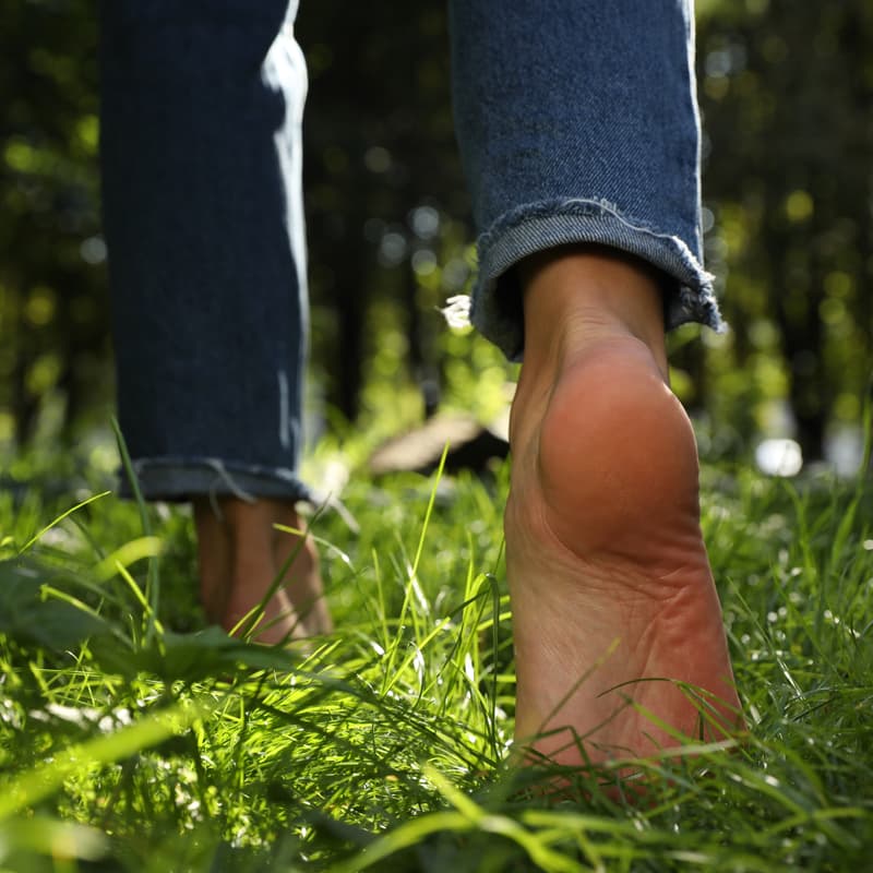 Cover Image for Reimagine Your Story. Restore Your Place. How regenerative leadership begins where you are.