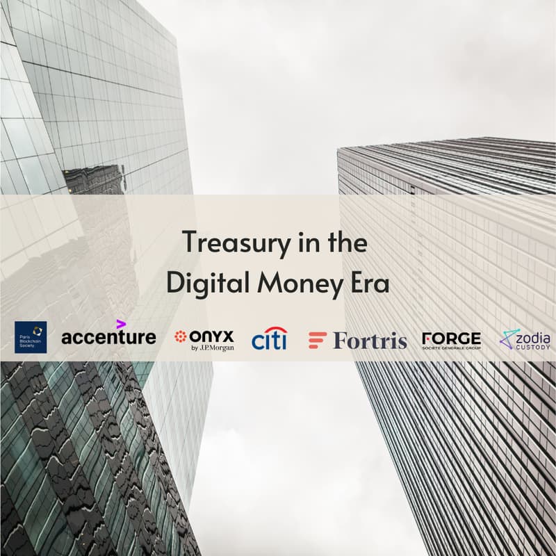 Cover Image for Treasury in the Digital Money Era