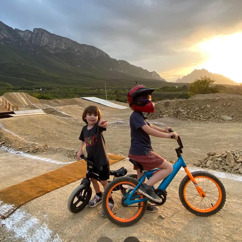 Cover Image for PTE - BLACK BEAR