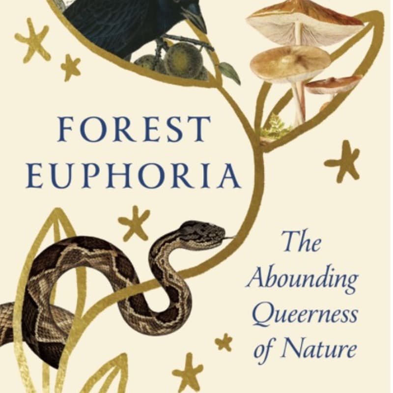 Cover Image for Bookclub: Forest Euphoria By Patricia Kaishian