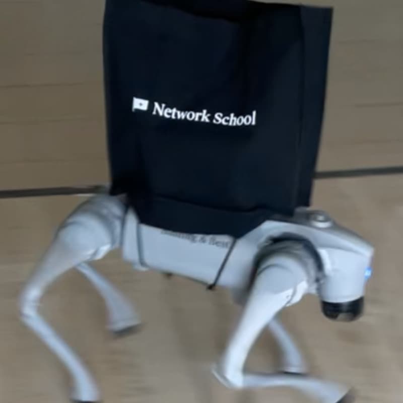Cover Image for Robot Dog Lessons