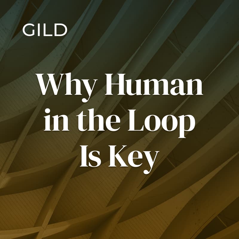 Cover Image for Why Human in the Loop Is Key
