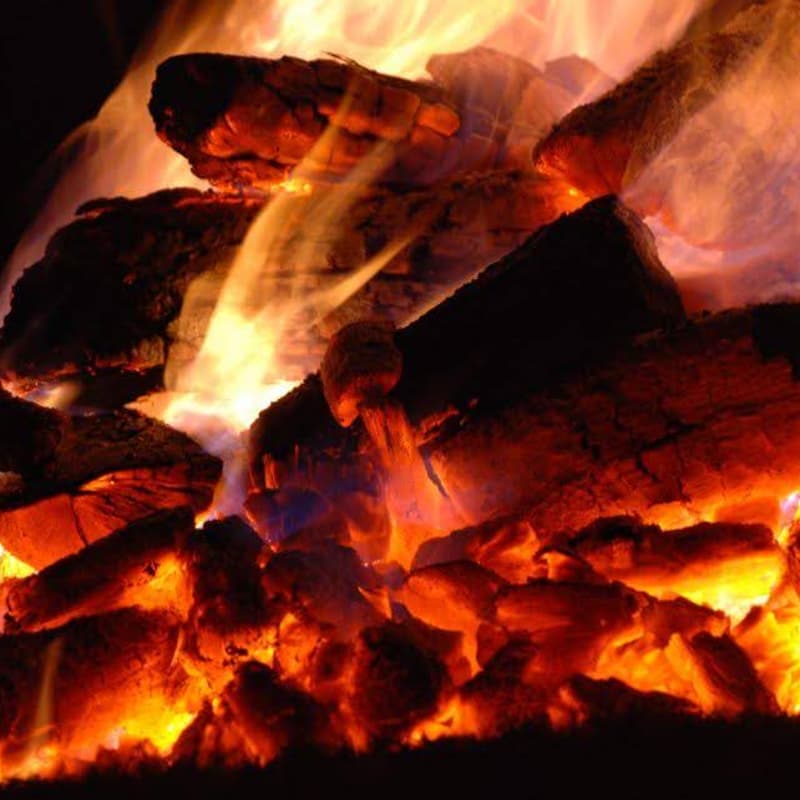 Cover Image for Tu b'Shevat Fire Walk