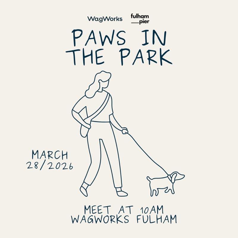 Cover Image for Paws in the Park