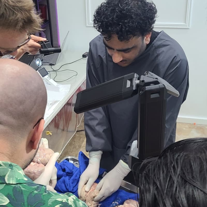 Cover Image for Anatomy and Physiology for Biohackers - Open Registration