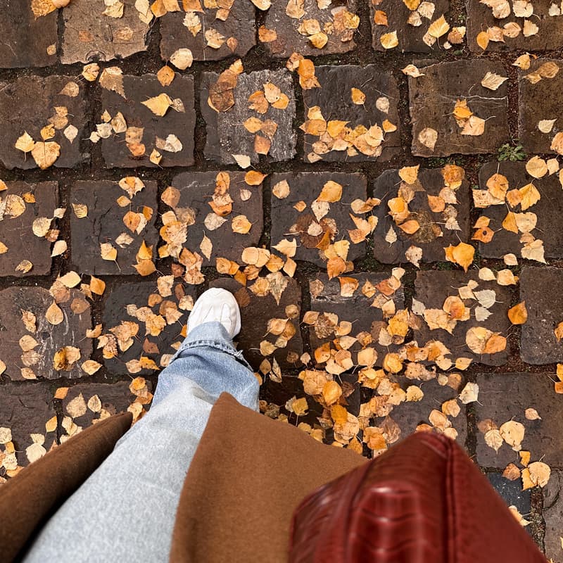Cover Image for Walk and Talk