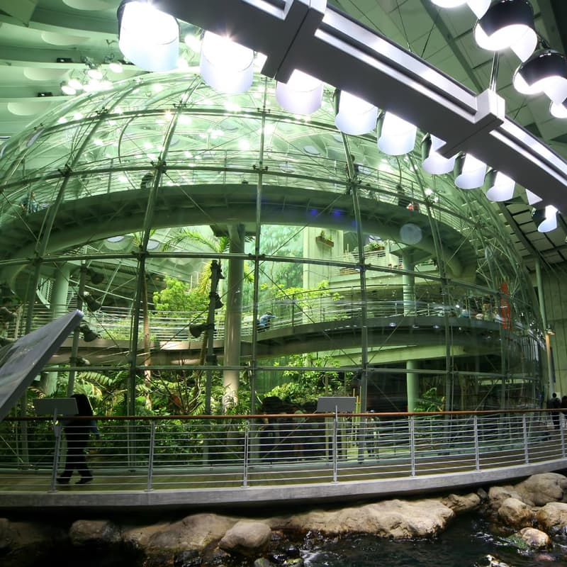 Cover Image for California Academy of Sciences - With Friends!