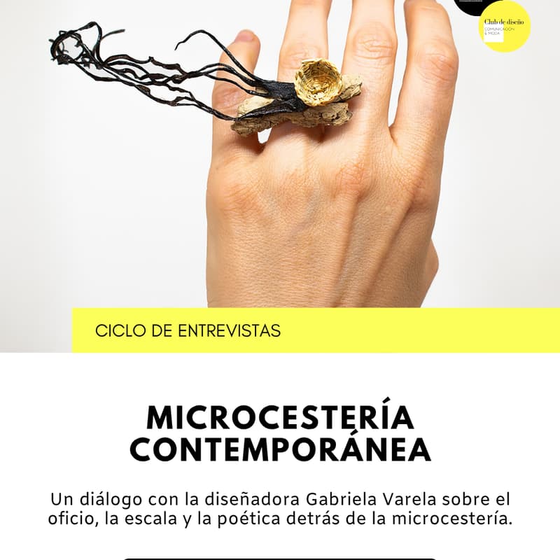 Foto de portada de Microcestería contemporánea x Gabriela Varela