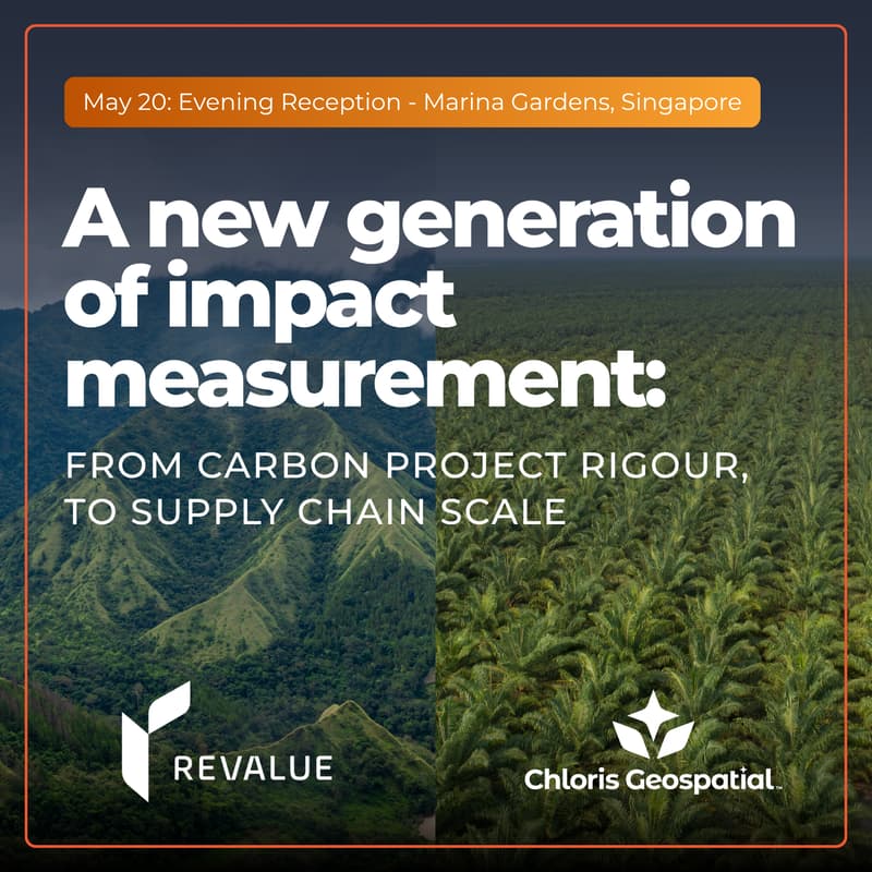 Cover Image for A new generation of impact measurement: from carbon project rigour, to supply chain scale
