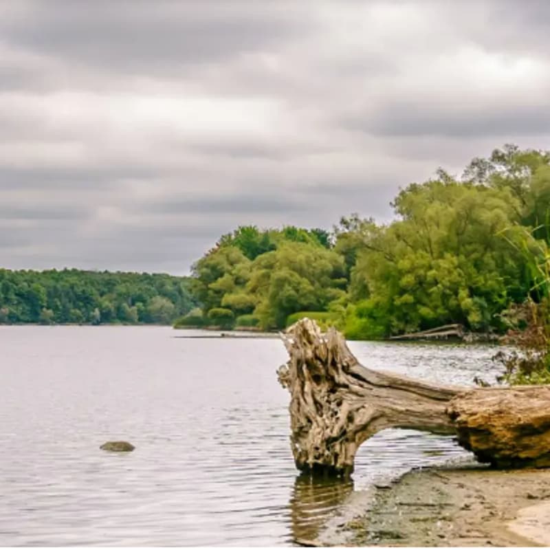 Cover Image for Guelph lake Kayaking/Canoe – Guelph