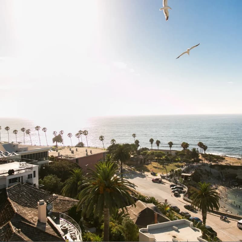 Cover Image for Founder Lessons: An Unplugged Conversation