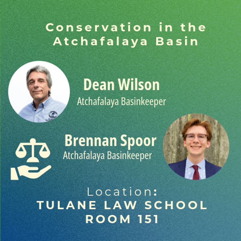 Cover Image for Conservation in the Atchafalaya Basin