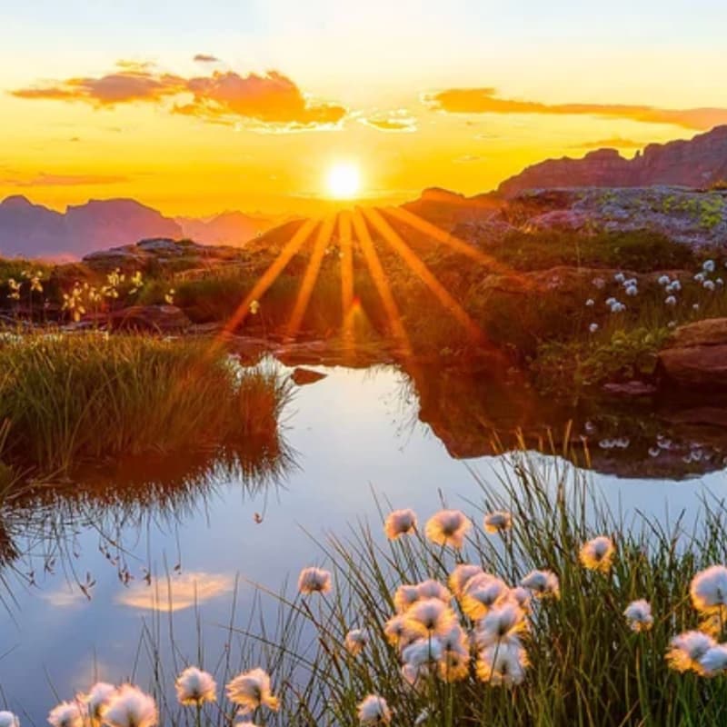 Cover Image for Spring Equinox Breathwork Ceremony with Benjamin Tree - Online