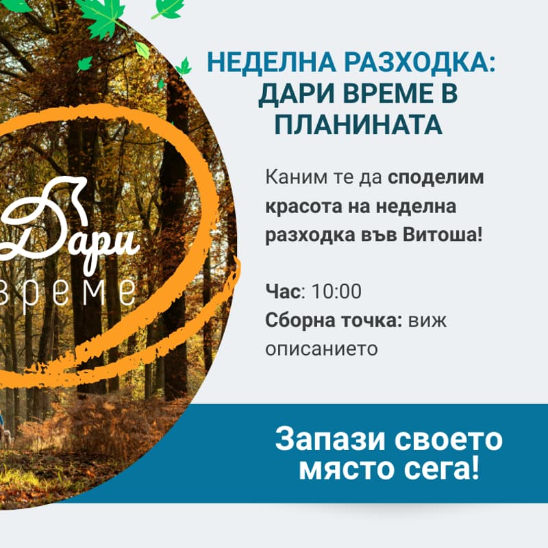 Cover Image for Неделна разходка: Дари Време в планината