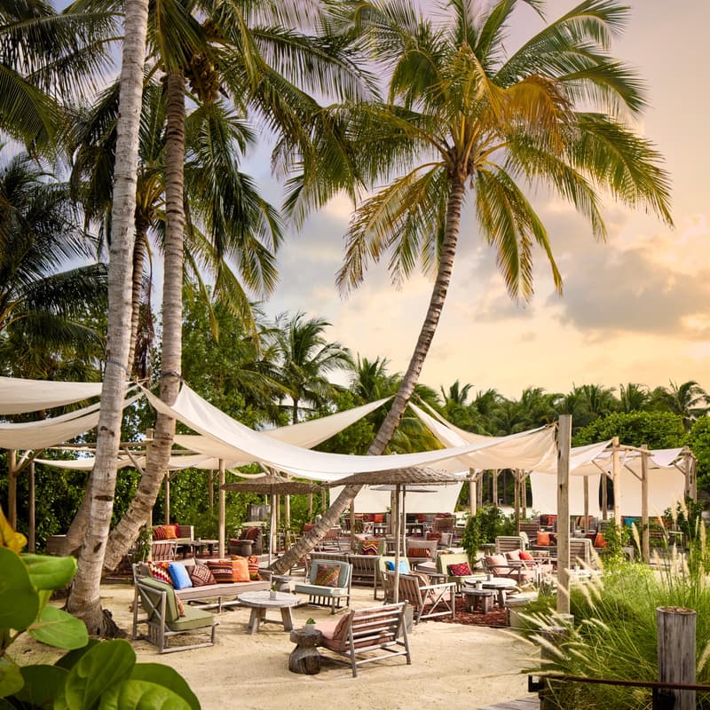 Cover Image for Zero Waste Miami: Movement And Art Wellness Event