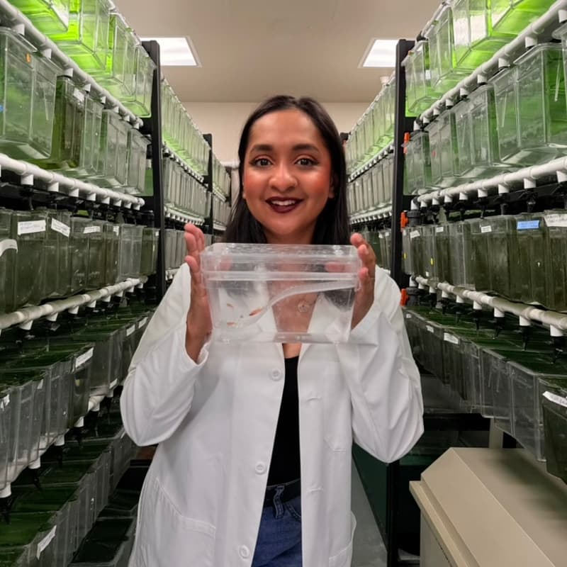 Cover Image for Mission: Pau-ssible - The Final Defense