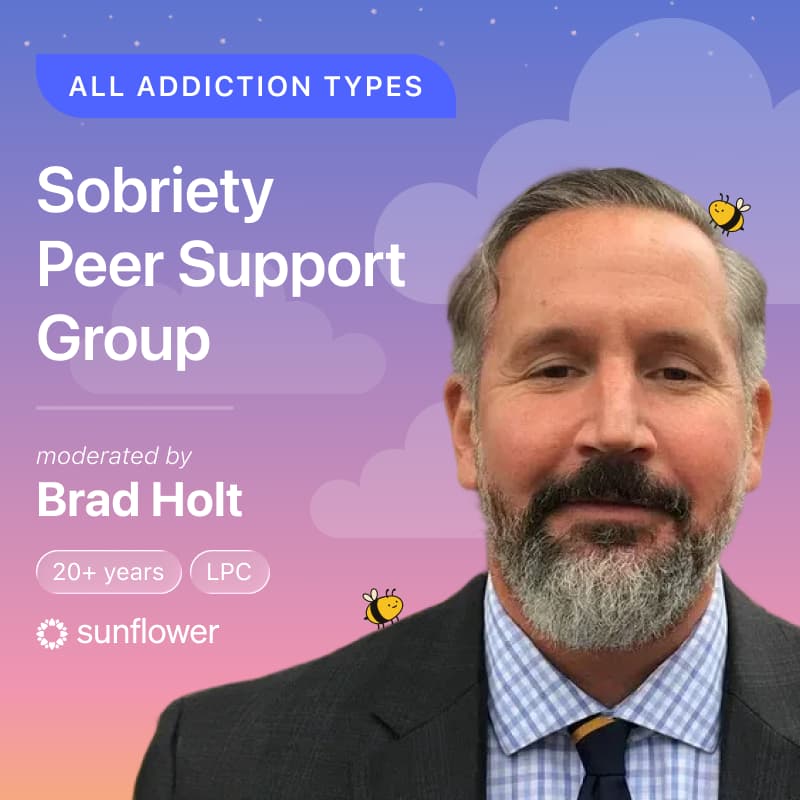 Cover Image for [Free] Sobriety Peer Support Group by Sunflower 🌻