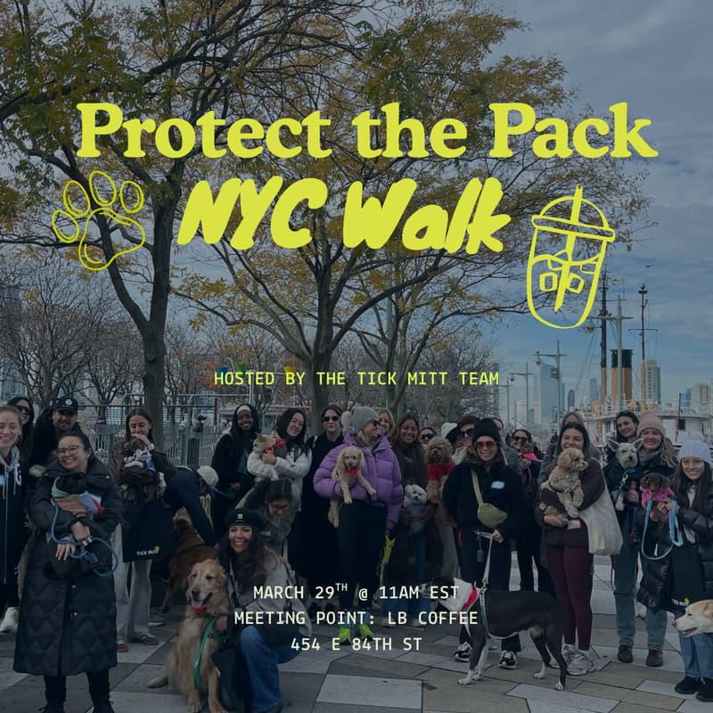 Cover Image for Protect the Pack NYC Dog Walk