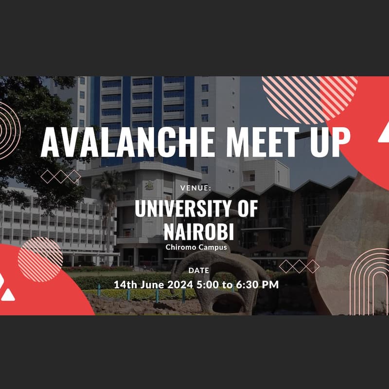 Cover Image for Avalanche At The University Of Nairobi
