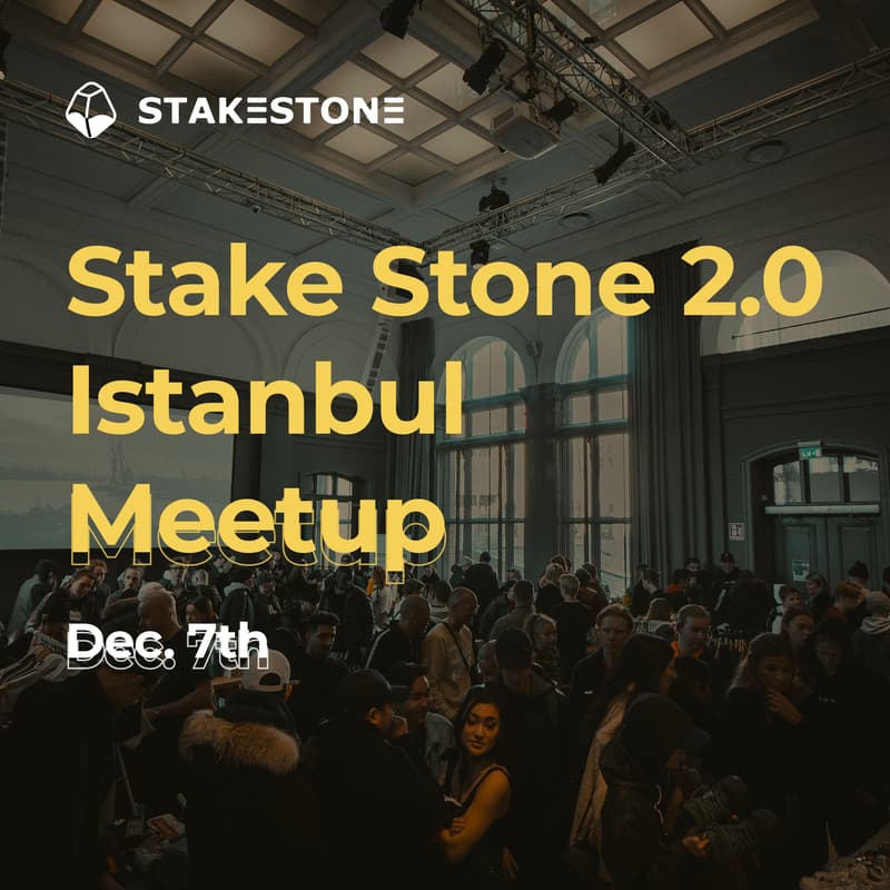 Cover Image for StakeStone Connect