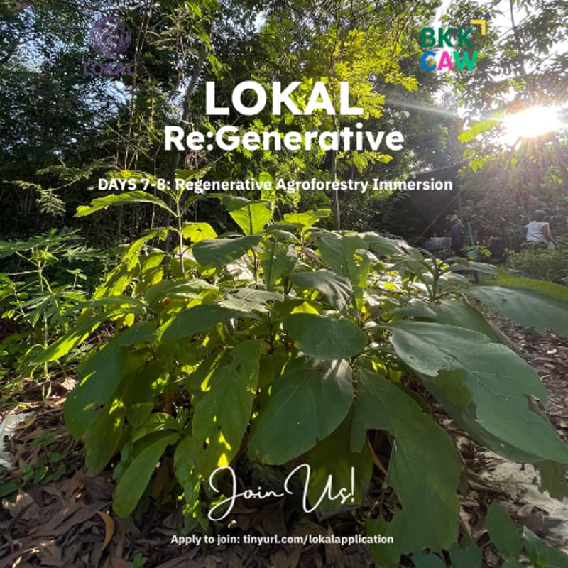 Cover Image for Regenerative Agroforestry Immersion (2 PLACES LEFT!)