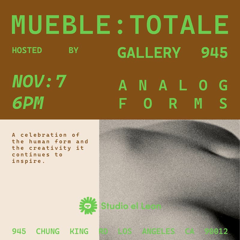 Cover Image for ANALOG FORMS