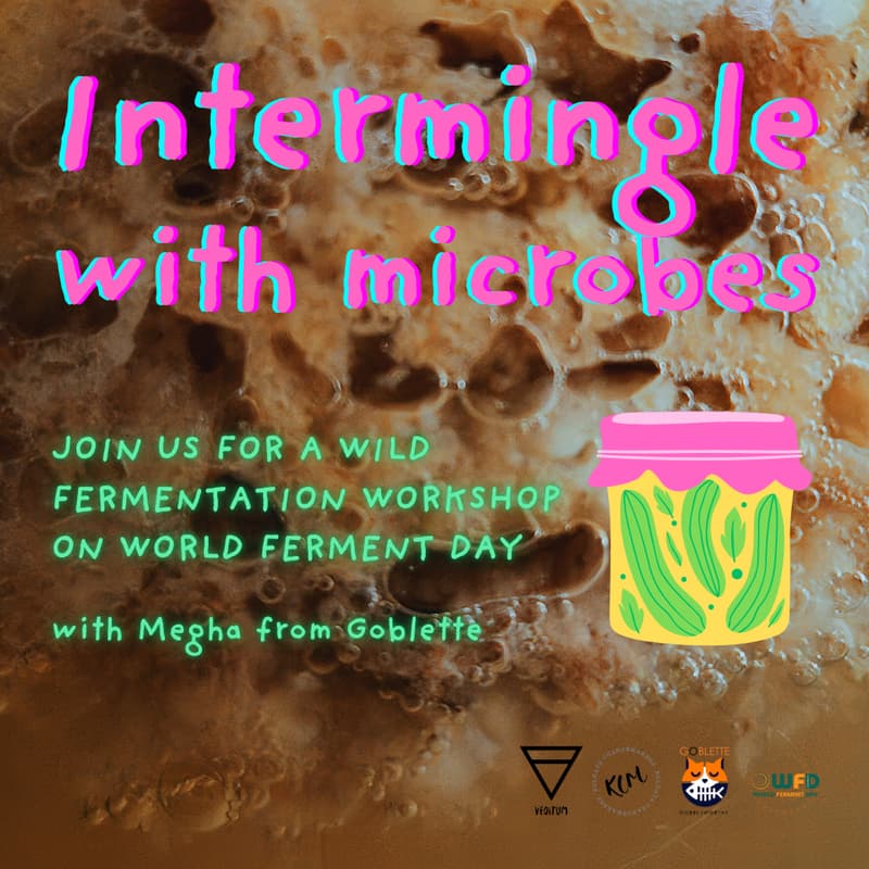 Cover Image for Intermingle with Microbes this World Ferment Day - with Megha