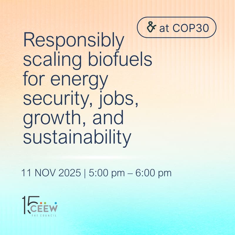 Cover Image for Responsibly scaling biofuels for energy security, jobs, growth, and sustainability