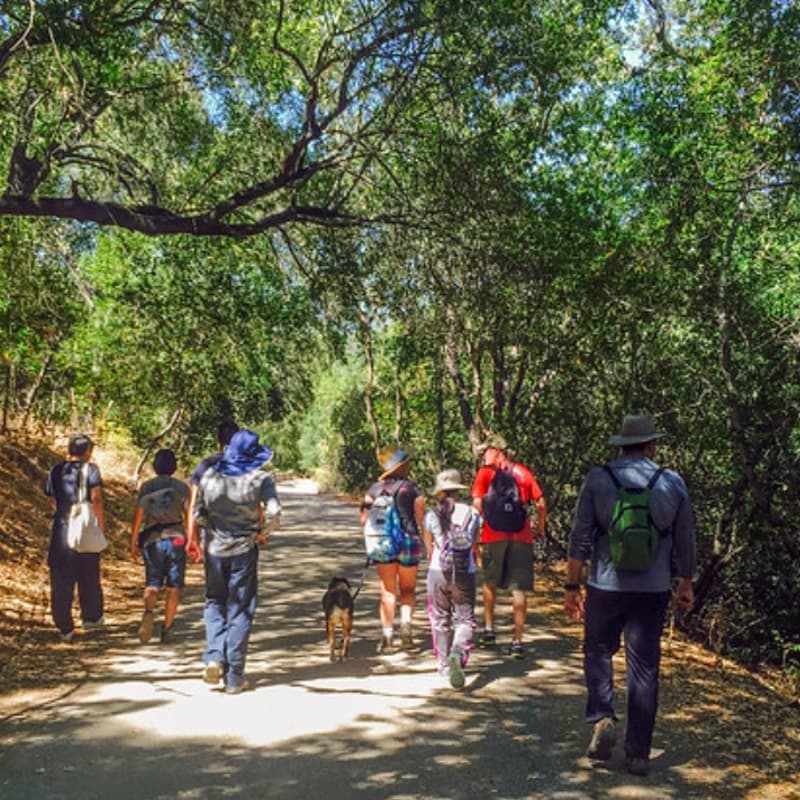 Cover Image for Southbay Chapter: Hiking Meetup
