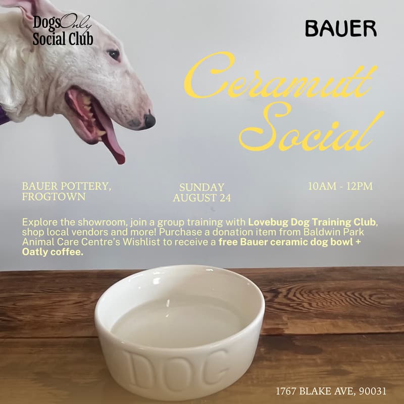 Cover Image for Ceramutt Social