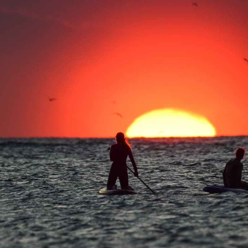 Cover Image for SUNRISE PADDLE SESSION 🌅🏄🏼