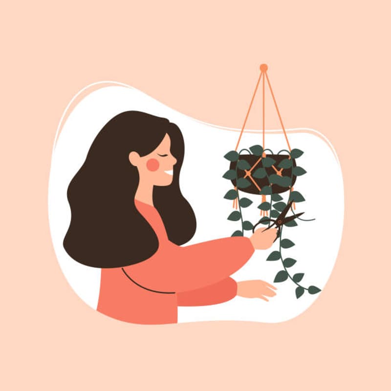 Cover Image for Macrame Making Social - Fall '25 Art & Creativity Series