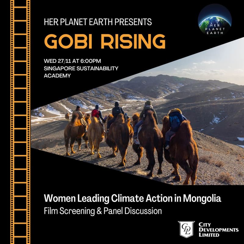 Cover Image for Gobi Rising: Women Leading Climate Action in Mongolia