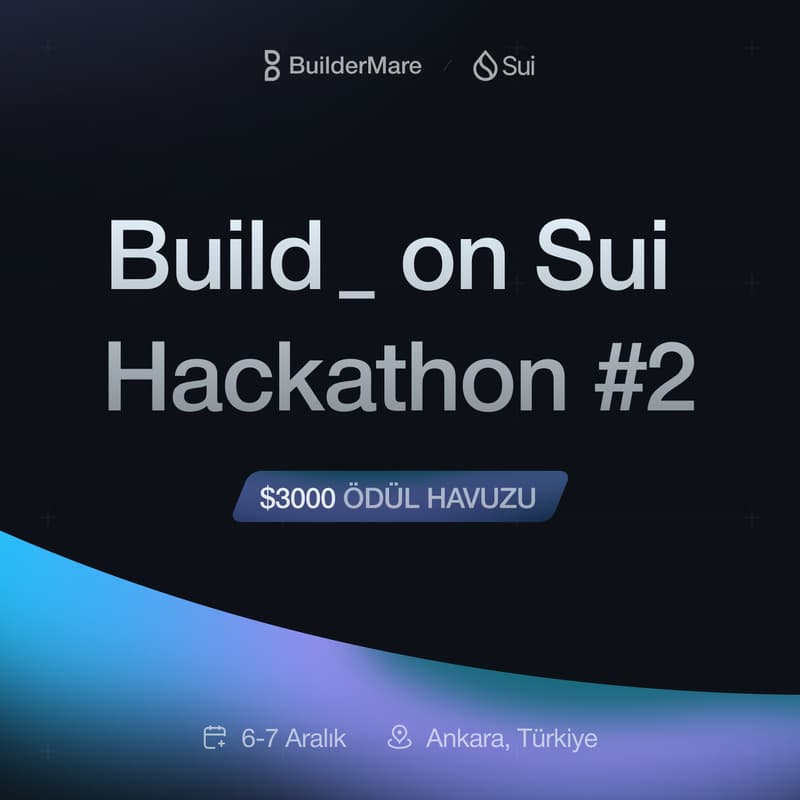 Cover Image for Build_ on SUI Hackathon #2