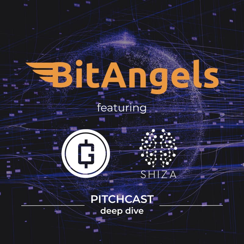 Cover Image for BitAngels Pitchcast Deep Dive #7 GVNR & SHIZA