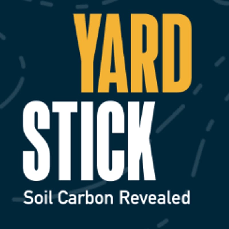 Cover Image for In-Depth Learning Series: Yardstick
