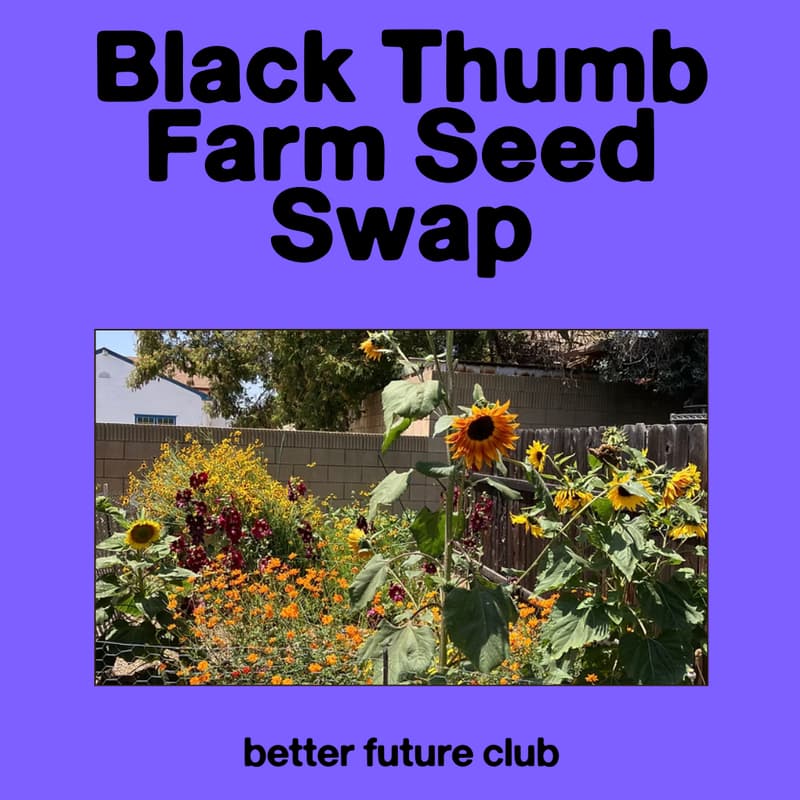 Cover Image for π©π½βπΎ Black Thumb Farm Seed Swap & Volunteer