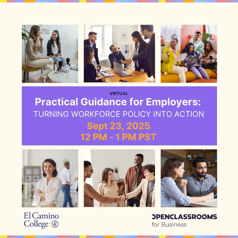Cover Image for Practical Guidance for Employers: Turning Workforce Policy into Action