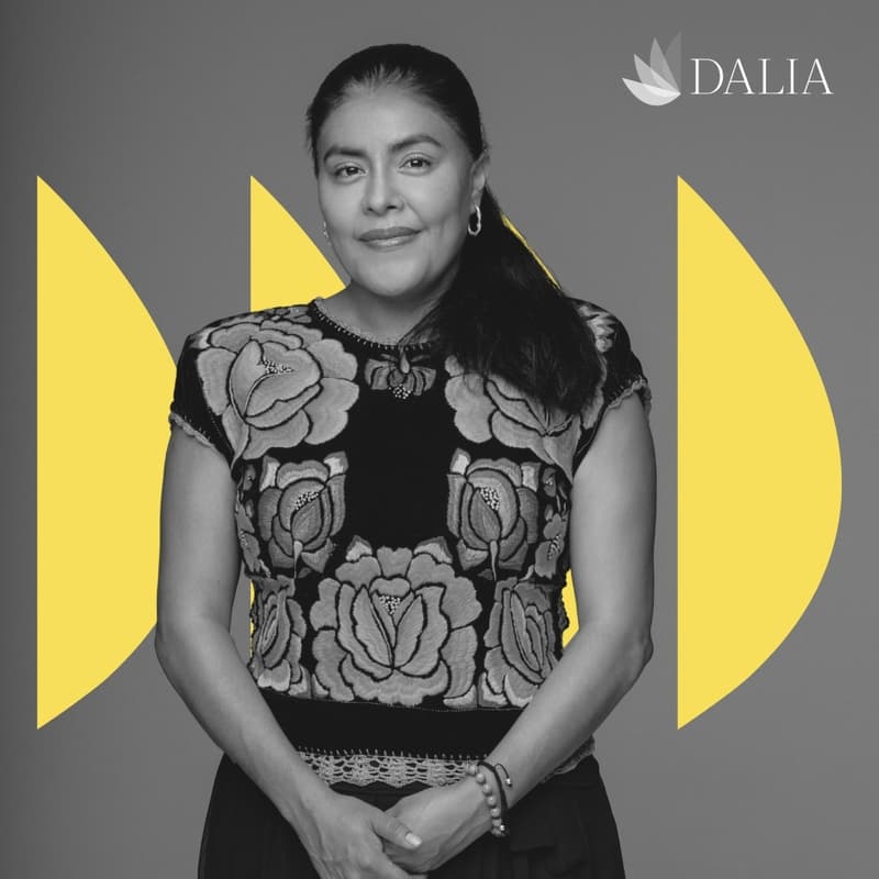 Cover Image for Conferencia y Presentación de libro: Los sueños de la niña de la montaña por Eufrosina Cruz