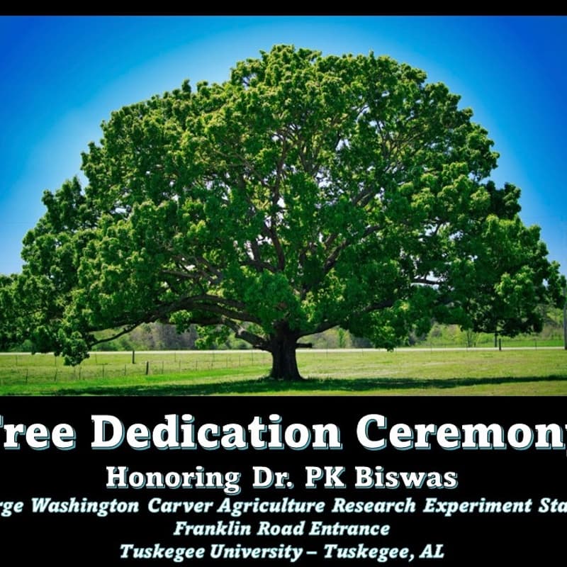 Cover Image for Earthweek Finale: Arbor Day!