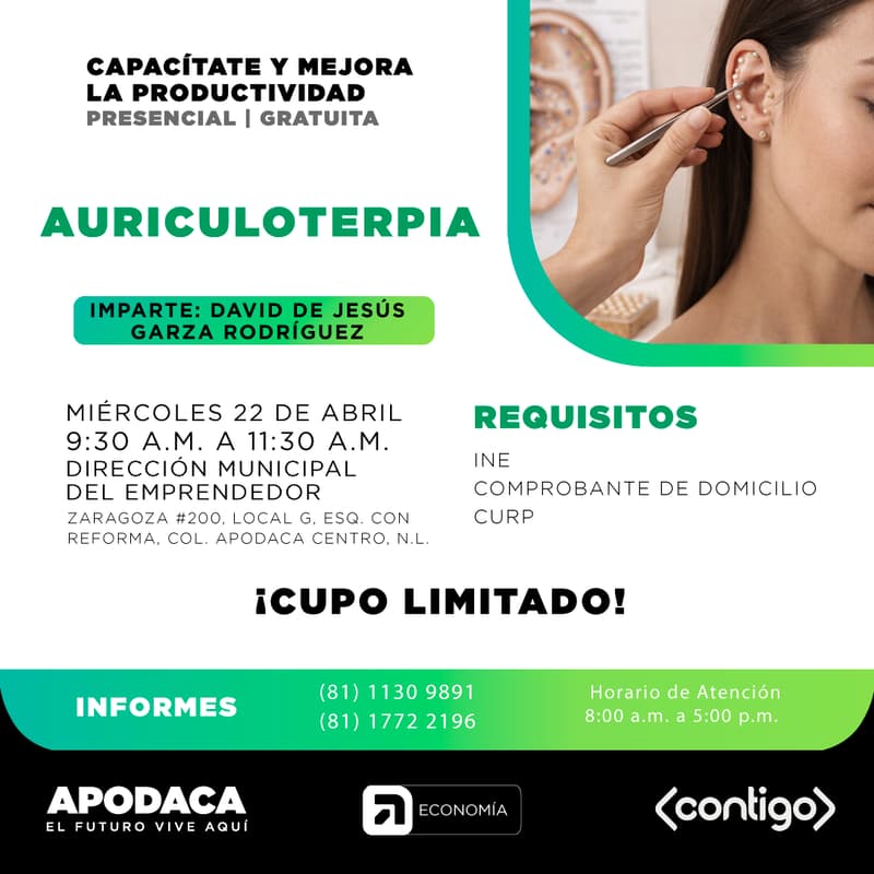 Cover Image for AURICULOTERAPÍA (PRESENCIAL)