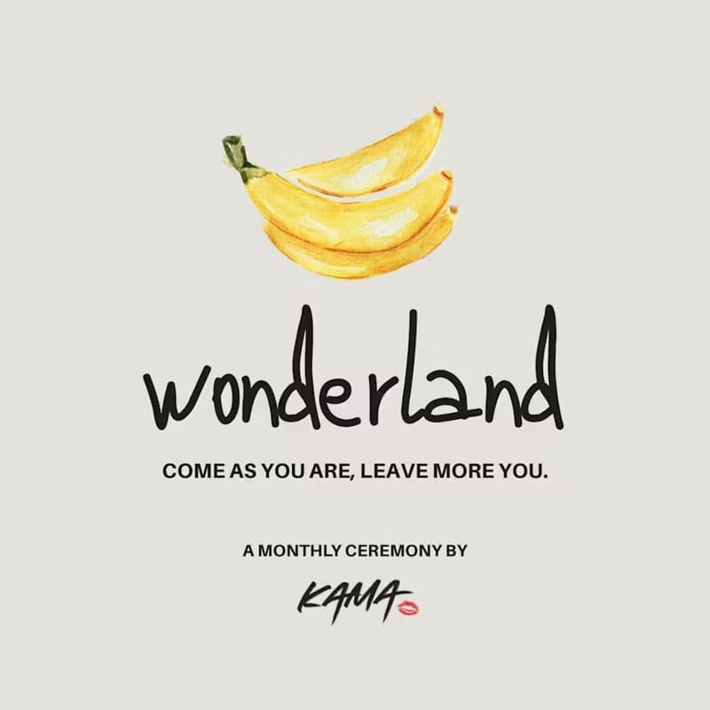 Cover Image for Wonderland: Baby Night